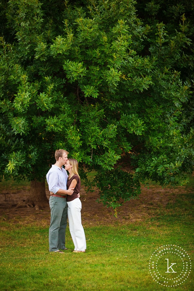 engaged couple in front of tree in Prospect Park