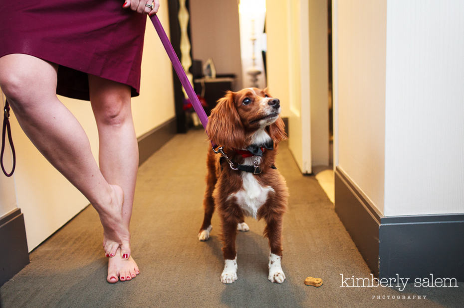 puppy and bridesmaid wait patiently