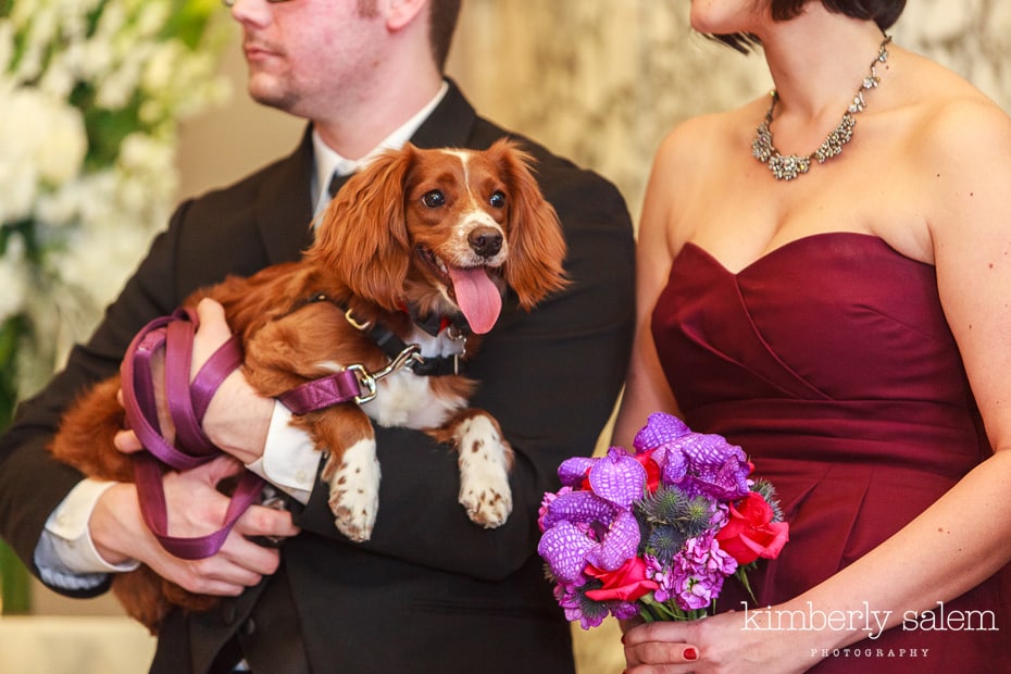 bridal party - detail with puppy