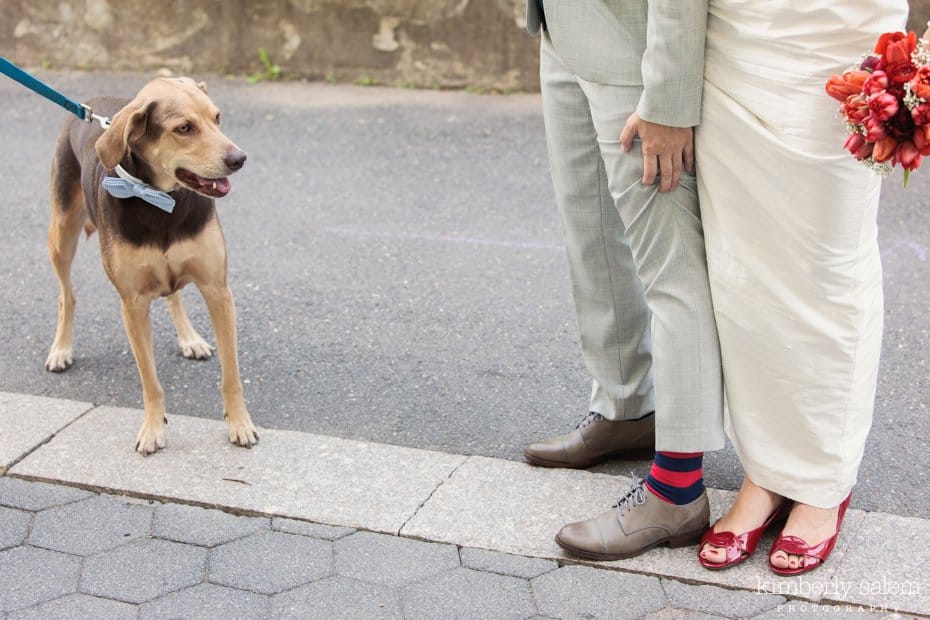 brides' shoes and cute dog with bow tie